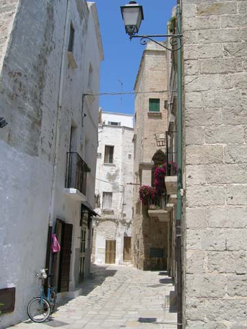 DSCN0863