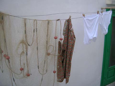 DSCN0868