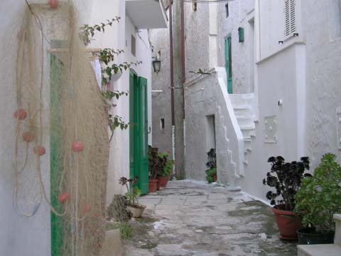 DSCN0869