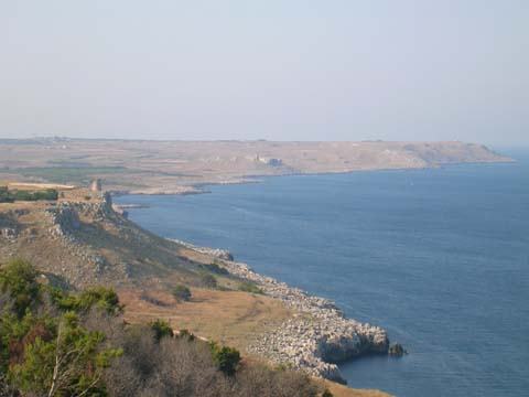 DSCN0889