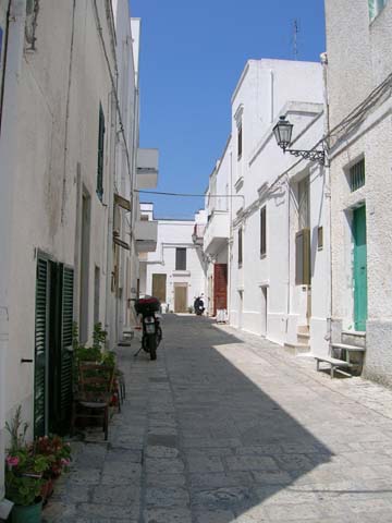 DSCN0891