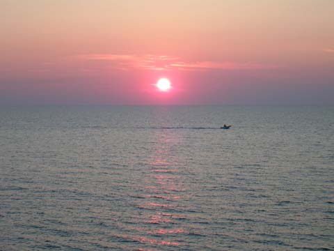 DSCN0905