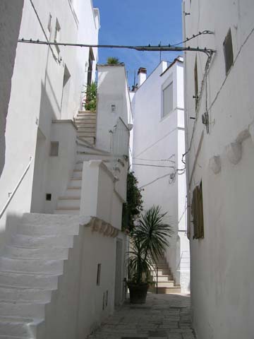 DSCN0908