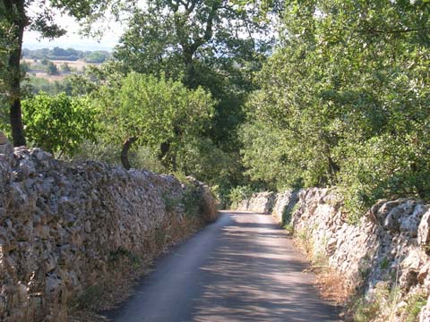 DSCN0912