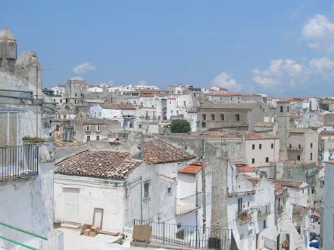 DSCN0916