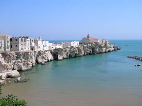 DSCN0935