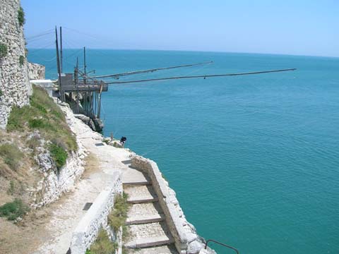 DSCN0940