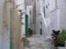 DSCN0869