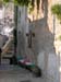 DSCN0919